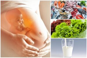 Chia sẻ kiến thức nên chất béo tốt có trong thực phẩm nào