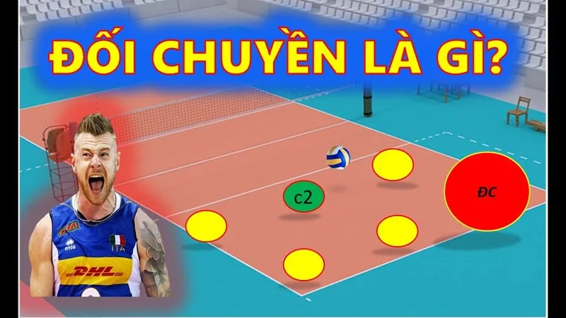 tim hieu cac vi tri trong bong chuyen va vai tro cu the tren san