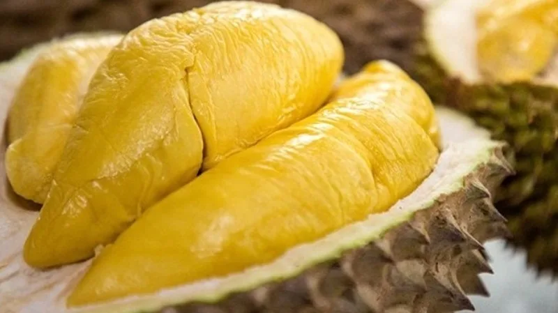 100g sau rieng bao nhieu calo cach an sau rieng khong so tang can