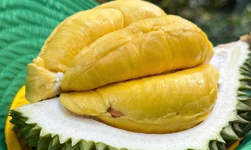 100g sau rieng bao nhieu calo cach an sau rieng khong so tang can